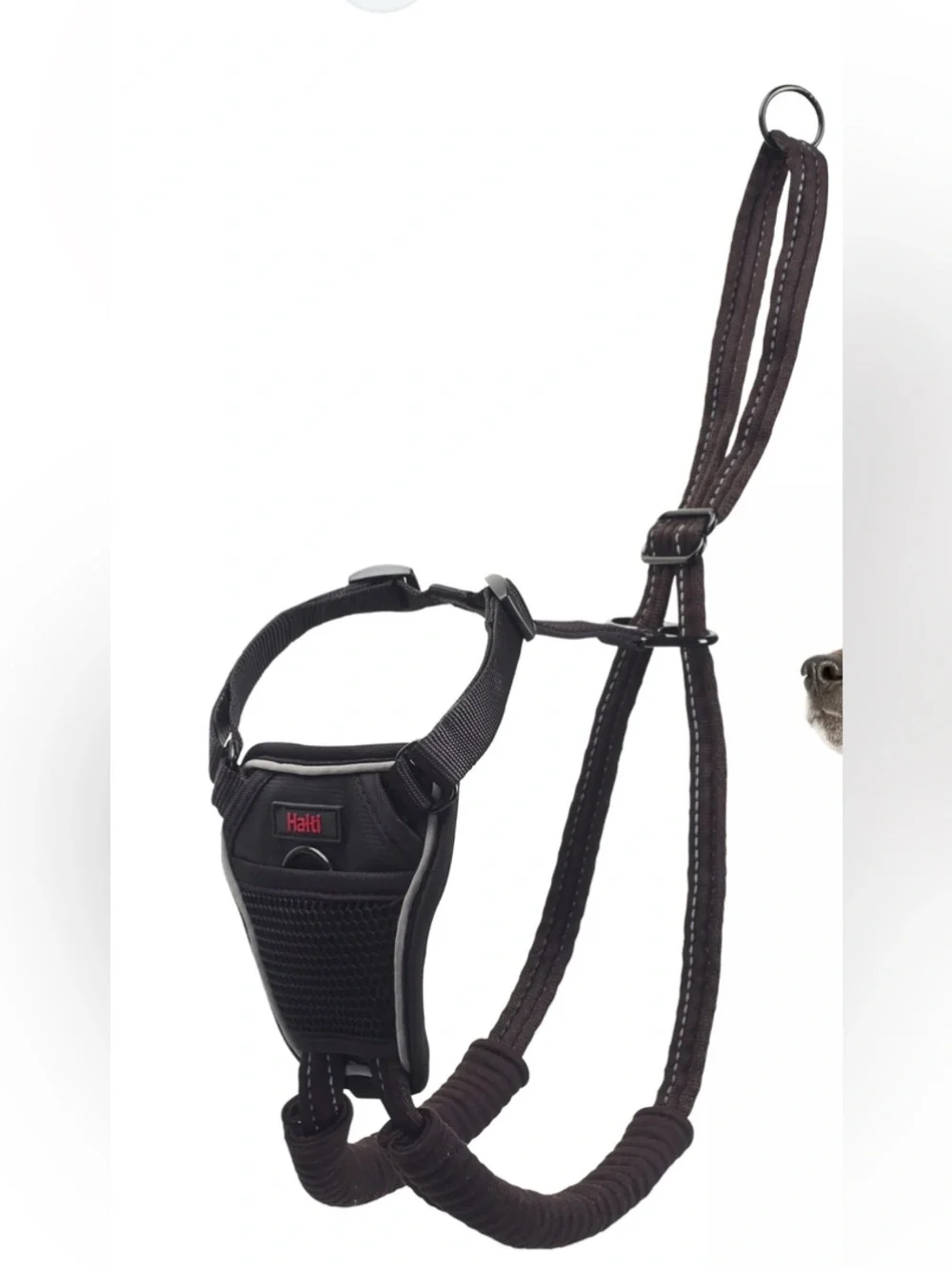 HaltI no pull harness S NEW